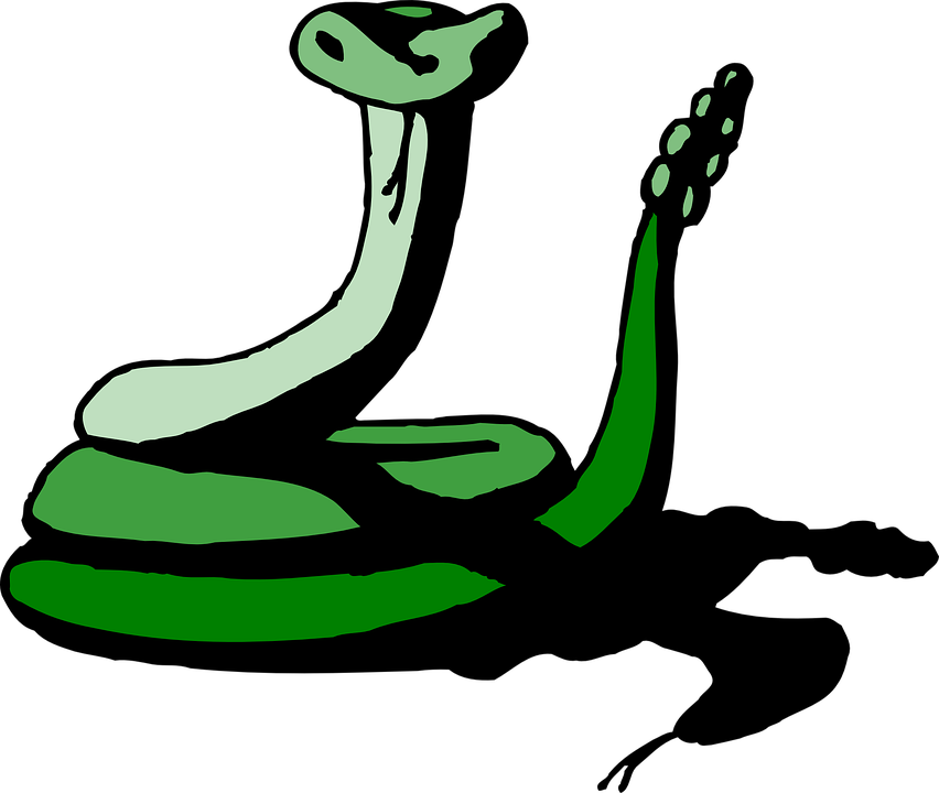 Snake Green Shadow Reptile Rattle Hissing Hiss - Green Animated Snake - Transparent PNG Free Download