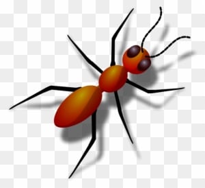 Ant Free Vector - Animals With 6 Legs - Transparent PNG Free Download