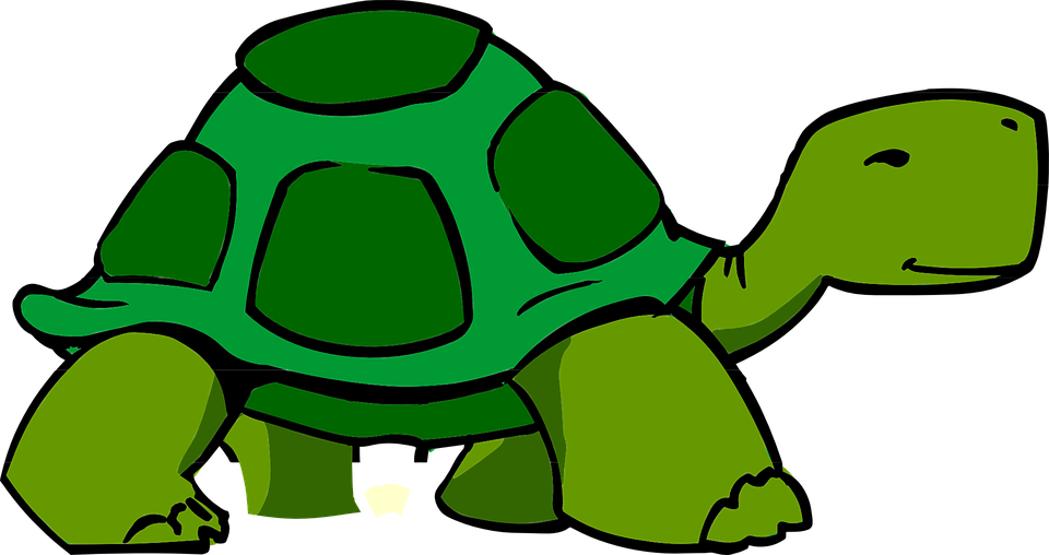 Turtoise Clipart Kura Kura - Animated Turtle - Transparent PNG Free Download