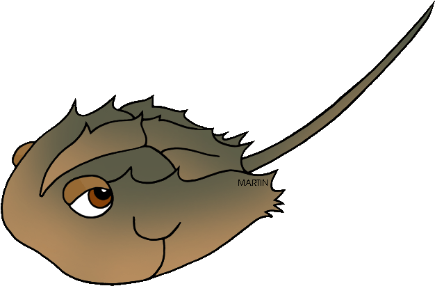 State Marine Animal Of Delaware - Delaware State Marine Animal - Transparent PNG Free Download