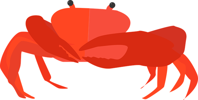 Crab Cancer Animal Shellfish Pliers Sea Se - Cancer Animal Png - Transparent PNG Free Download