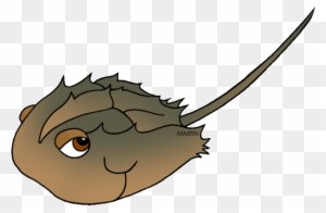 State Marine Animal Of Delaware - Delaware State Marine Animal - Transparent PNG Free Download