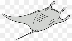 Devil Ray Clipart - Ocean Animals Coloring Pages - Transparent PNG Free Download