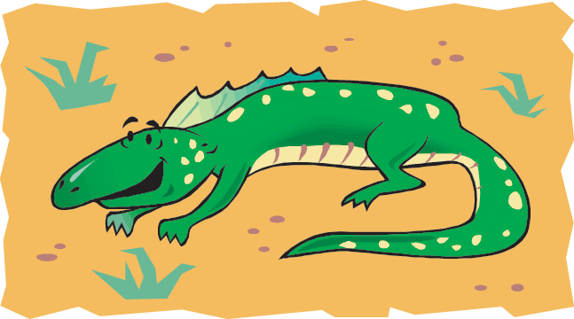 Desert Animal Habitat Game Sort The Animals That Do - Animals In The Desert Clipart - Transparent PNG Free Download