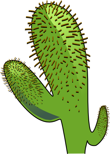 Animated Cactus - Transparent PNG Free Download