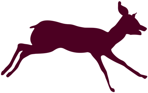 Download Free Photo Report - Background Animal Deer Running - Transparent PNG Free Download