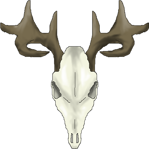 Drawings Of Deer Skulls - Animal Skull Cartoon Transparent - Transparent PNG Free Download