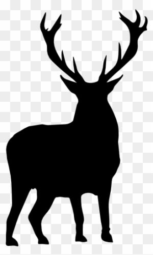 Animals, Deers, Shapes, Animal Kingdom, Shape, Animal, - Silhouette Animals - Transparent PNG Free Download