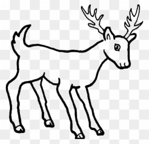 Deer Coloring Page - Simple Drawing Of Wild Animals - Transparent PNG Free Download
