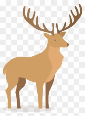 White-tailed Deer - Click Art Camping Animals - Transparent PNG Free Download