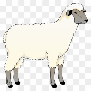 Farm Animals Sheep Clipart - Transparent PNG Free Download