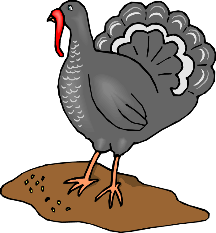 Turkey - Fowls Animals Clipart Turkey - Transparent PNG Free Download