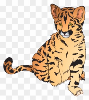 Wonderful Clip Art Of Animals That Live In A Zoo - Zoo Animals Clip Art - Transparent PNG Free Download