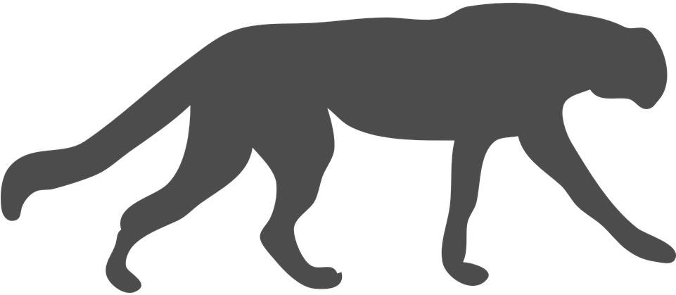 Wildcat Clipart Cougar - Black Panther Animal Outline - Transparent PNG Free Download