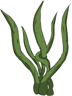 Seaweed Clipart Transparent Background Pencil And In - Seaweed Transparent Animation - Transparent PNG Free Download