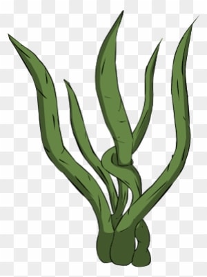 Seaweed Clipart Transparent Background Pencil And In - Seaweed Transparent Animation - Transparent PNG Free Download