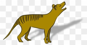 10 Tasmanian Tiger Facts - Cute Clip Art Austraian Animals - Transparent PNG Free Download