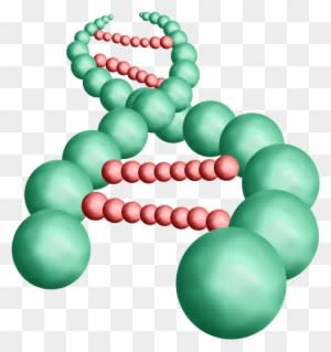 Thoughts Of An Abstract Scientist - Free Animated Gif Science - Transparent PNG Free Download