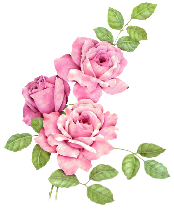 Rosenbilder, Kunstmalerei Blumen, Rosen Kunst, Pinke - Animated Alphabet S - Transparent PNG Free Download