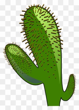 Cowboy Cactus Cliparts 9, - Animated Cactus - Transparent PNG Free Download