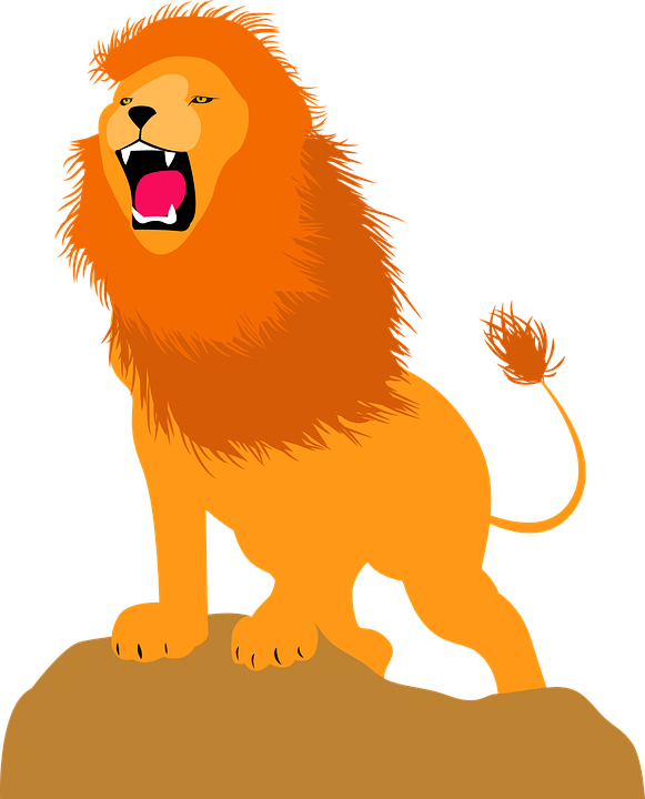Roaring Lion Cartoon - Animal León Png - Transparent PNG Free Download