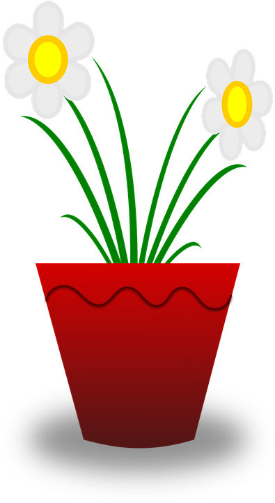 Flower Pot Clipart - Flower Growing Animated Gif - Transparent PNG Free Download