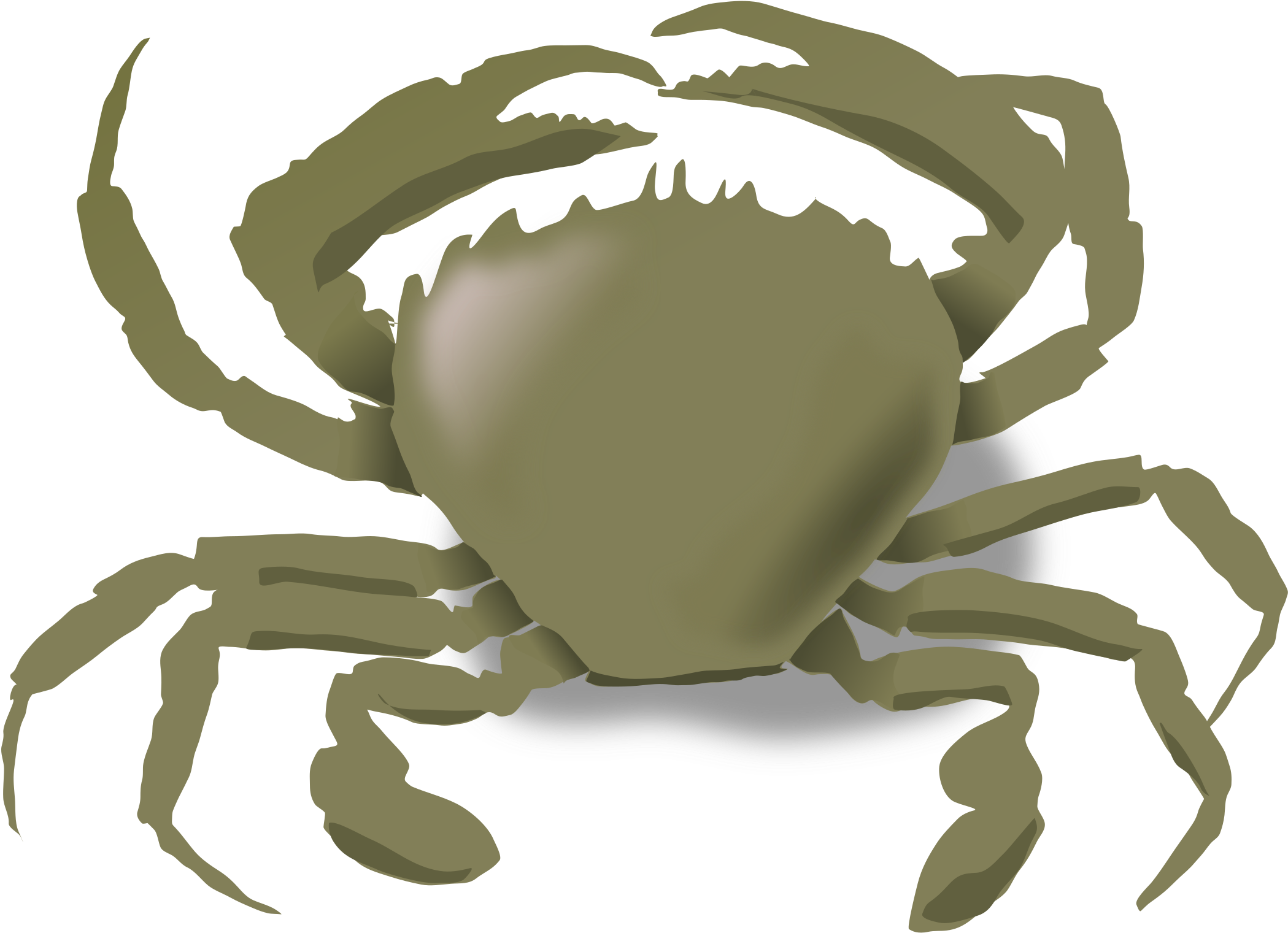 Crabs, Summer, Beach, Animals, Crab, Sea Life, Food, - Animals Live In Water And Land - Transparent PNG Free Download