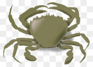 Crabs, Summer, Beach, Animals, Crab, Sea Life, Food, - Animals Live In Water And Land - Transparent PNG Free Download