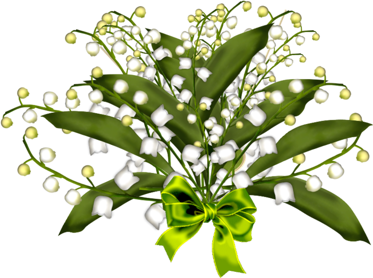 Brin De Muguet17a11 - Lily Of The Valley Animation - Transparent PNG Free Download