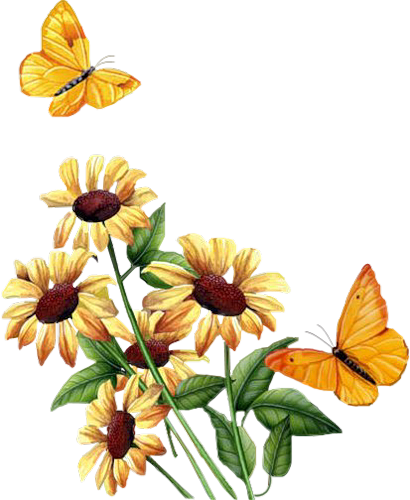 Flower 25 - Animated Flowers And Butterflies Gif - Transparent PNG Free Download