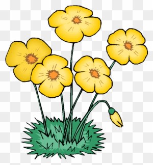Flower Sale - Flowers Clipart Animation - Transparent PNG Free Download