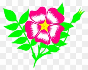 Free Stock Photos - Animated Flowers - Transparent PNG Free Download