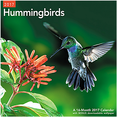 Mead 2017 Hummingbirds Wall Calendar (lme202_17) - - Transparent PNG Free Download