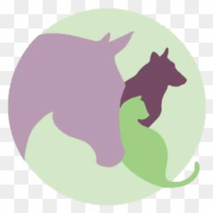 Donate - Shelter Animal Reiki Association - Transparent PNG Free Download