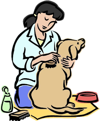 Animal Grooming Cartoon Animals Homepage - Taking Care Of Animals - Transparent PNG Free Download
