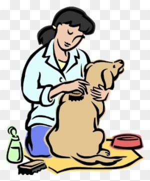 Animal Grooming Cartoon Animals Homepage - Taking Care Of Animals - Transparent PNG Free Download