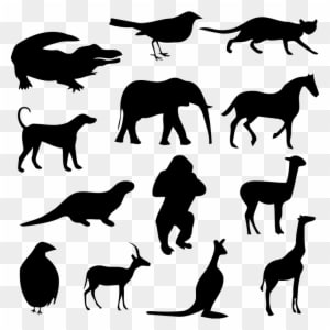 Medium Image - Transparent Animal Silhouettes Png - Transparent PNG Free Download
