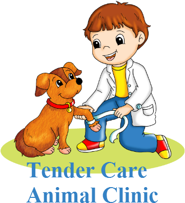 Tender Care Animal Clinic Tlc - Caring For Animals Clipart - Transparent PNG Free Download