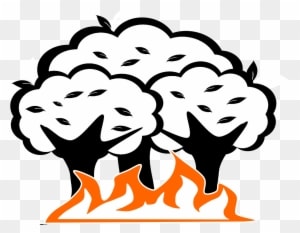 Forest Drawing Cliparts - Natural Disaster - Transparent PNG Free Download