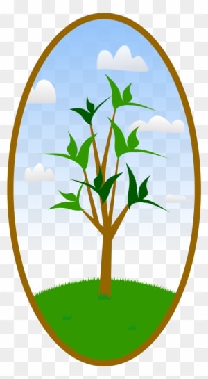 Big Image - Tree Hugger Nature Lover Tee Tile Coaster - Transparent PNG Free Download