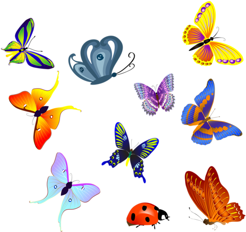 Insects 6 - Butterfly Orange Flame Bag, Adult Unisex, Natural - Transparent PNG Free Download