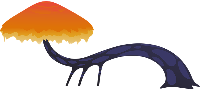 Klick Auf Den Bücherschrank - Nature Organic Shapes Png - Transparent PNG Free Download