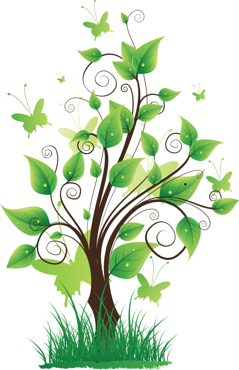 Tree Png Drawing - Png Format Images Nature - Transparent PNG Free Download