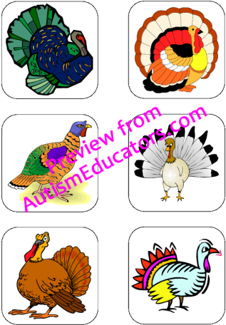 One Good-natured Lump Of A Girl Turkey - Sacs, Natural - Transparent PNG Free Download
