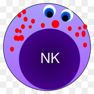 Nk Cell Clip Art - Natural Killer Cells Clipart - Transparent PNG Free Download