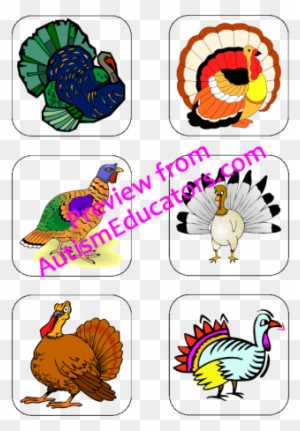 One Good-natured Lump Of A Girl Turkey - Sacs, Natural - Transparent PNG Free Download