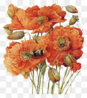 Prints - Demdaco Nature's Journey Blessings Magnet, 3-inch - Transparent PNG Free Download