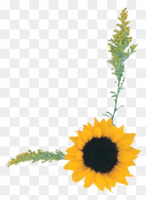 Free Photoshop Backgrounds High Resolution Wallpapers - Natural Gas - Transparent PNG Free Download