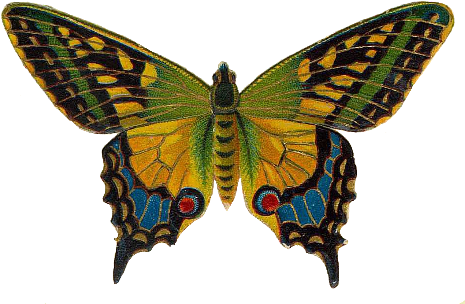 Inspiring Clipart Vintage Butterfly - Flying Colors: Second Nature Cd - Transparent PNG Free Download | PNGio