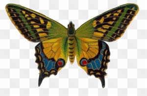 Inspiring Clipart Vintage Butterfly - Flying Colors: Second Nature Cd - Transparent PNG Free Download